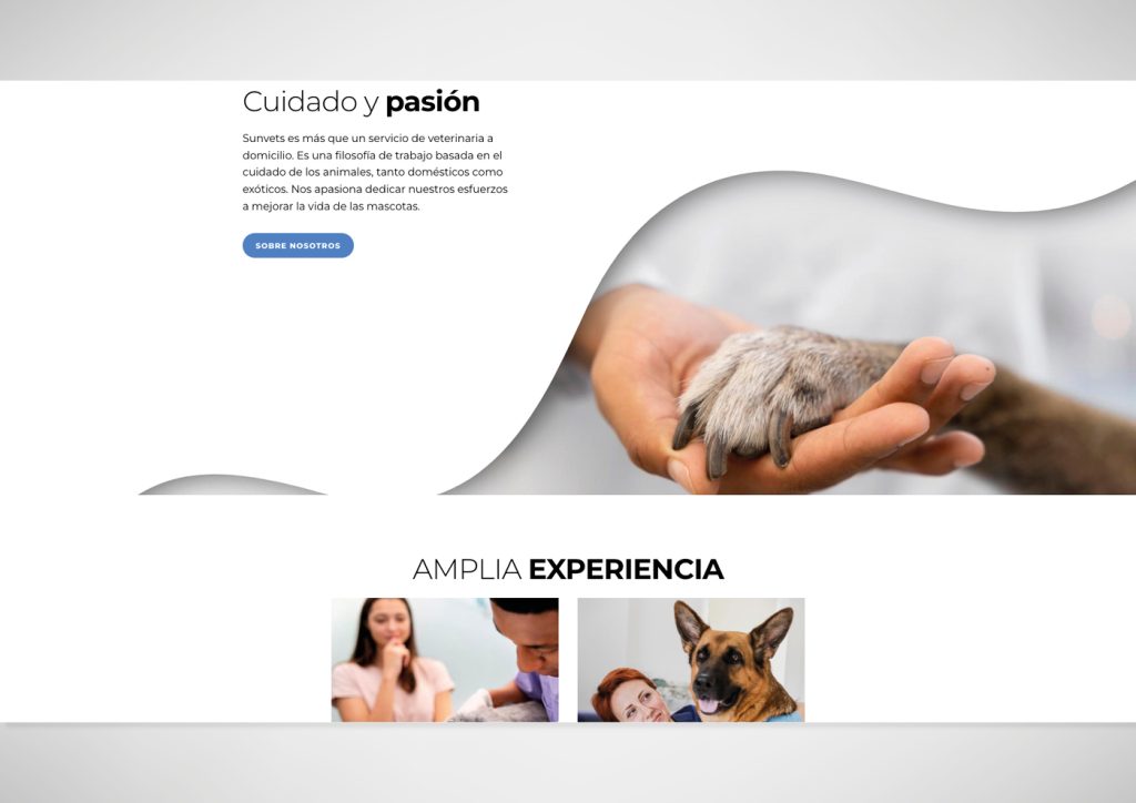 Muestra del diseño de la web del veterinario a domicilio