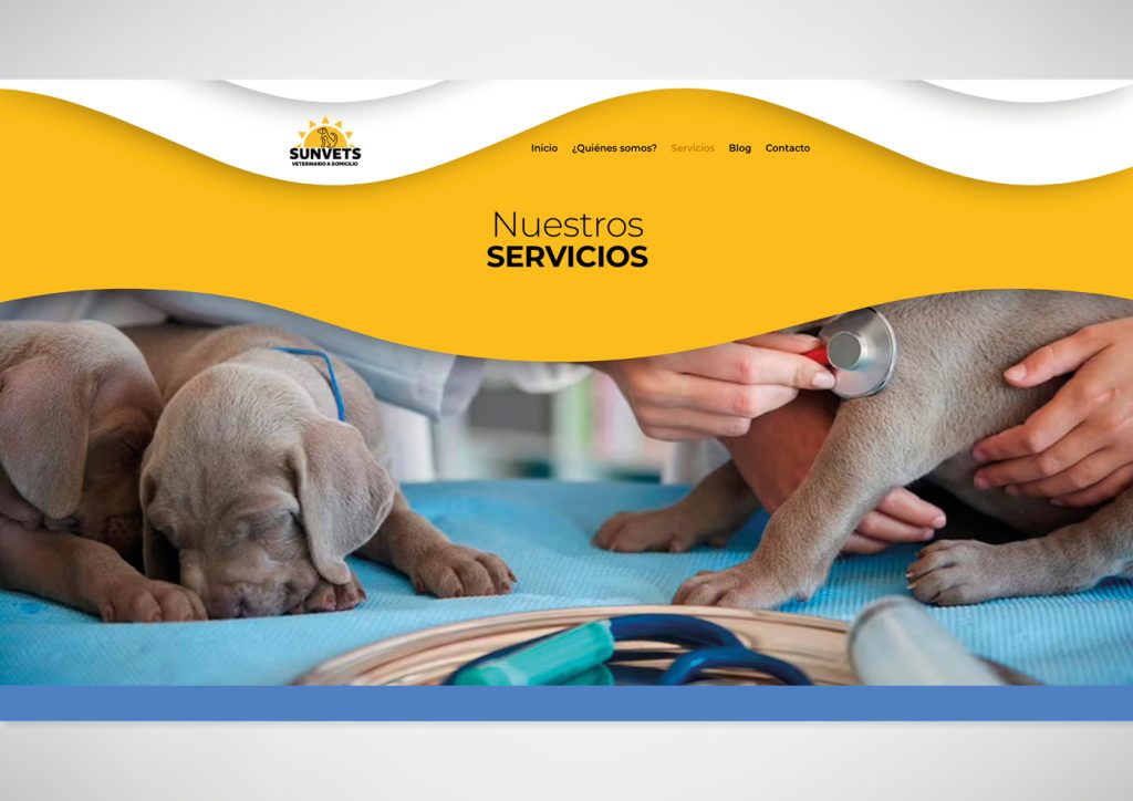 Portada de la sección servicios de la web